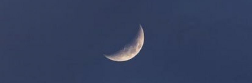 MerlinaNadine's profile banner image
