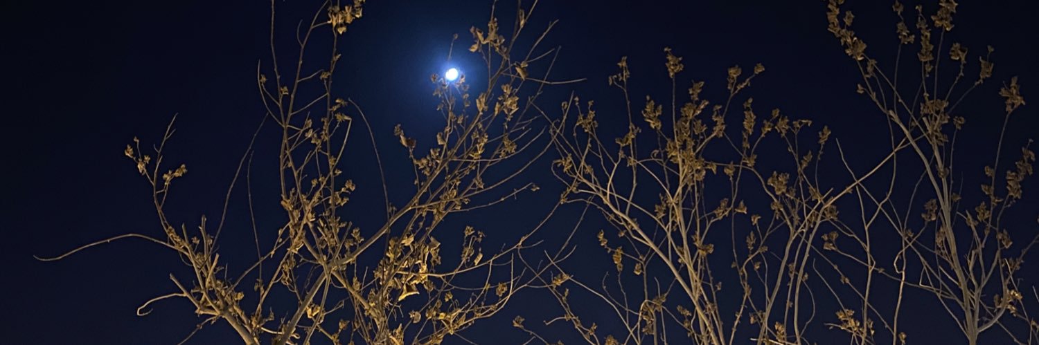 . banner