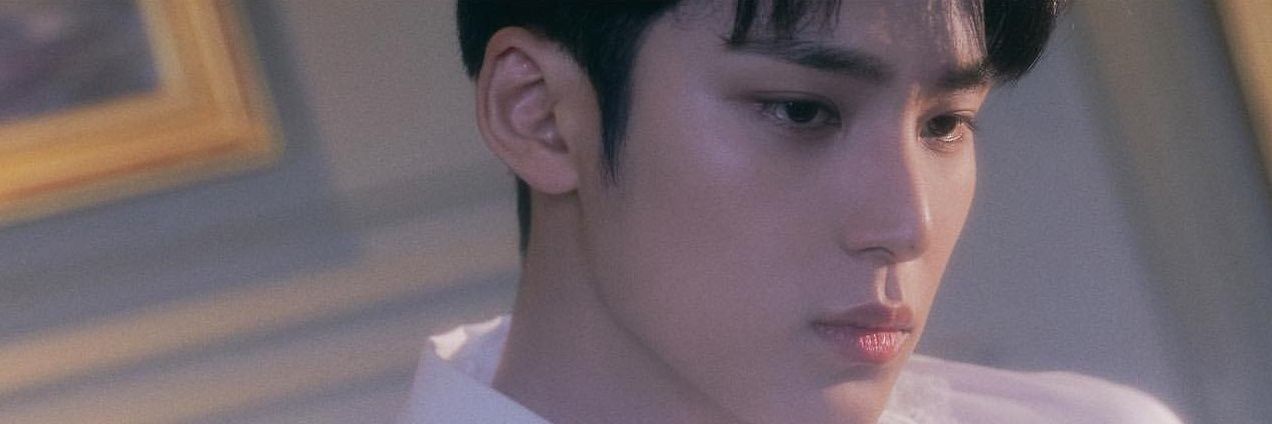 wonwooflie's profile banner image