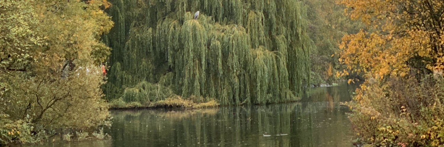 rasmusbergmark1's profile banner image