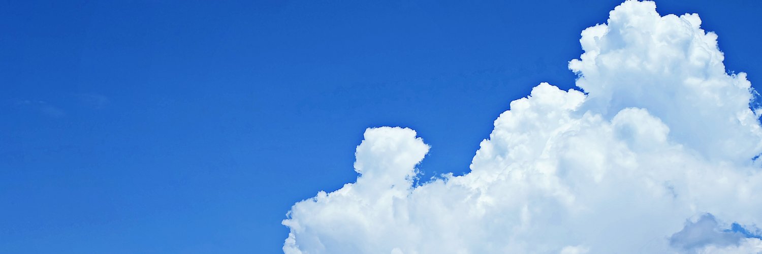 white & white banner