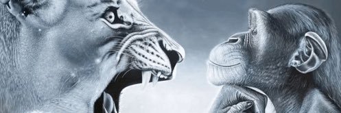 Theo banner