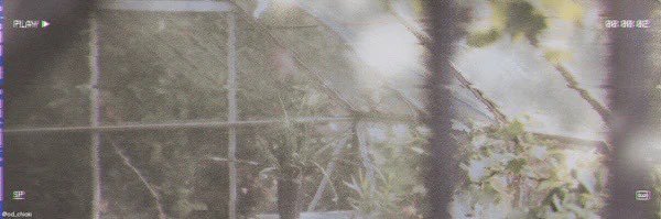SMNF banner