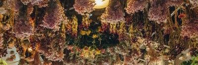 RawinWMoon's profile banner image