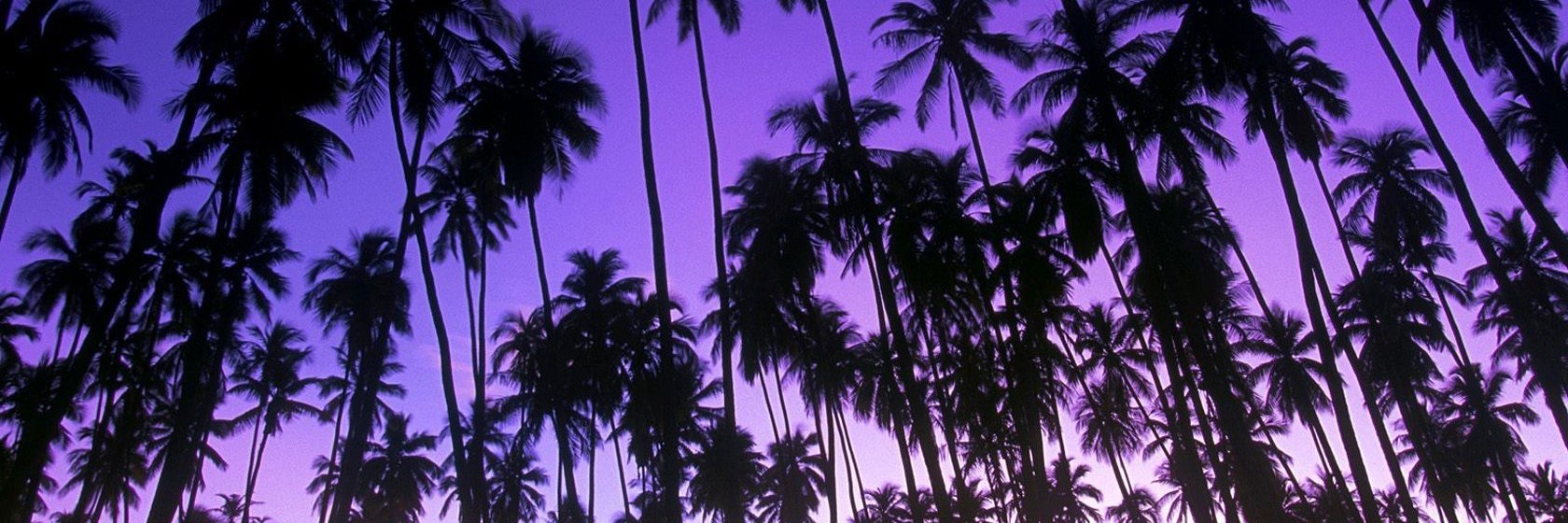 Not a Bob Player banner