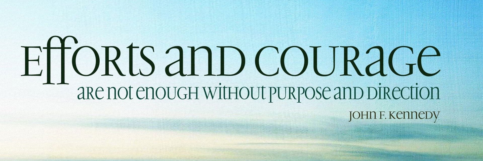 Vincent De Cock banner