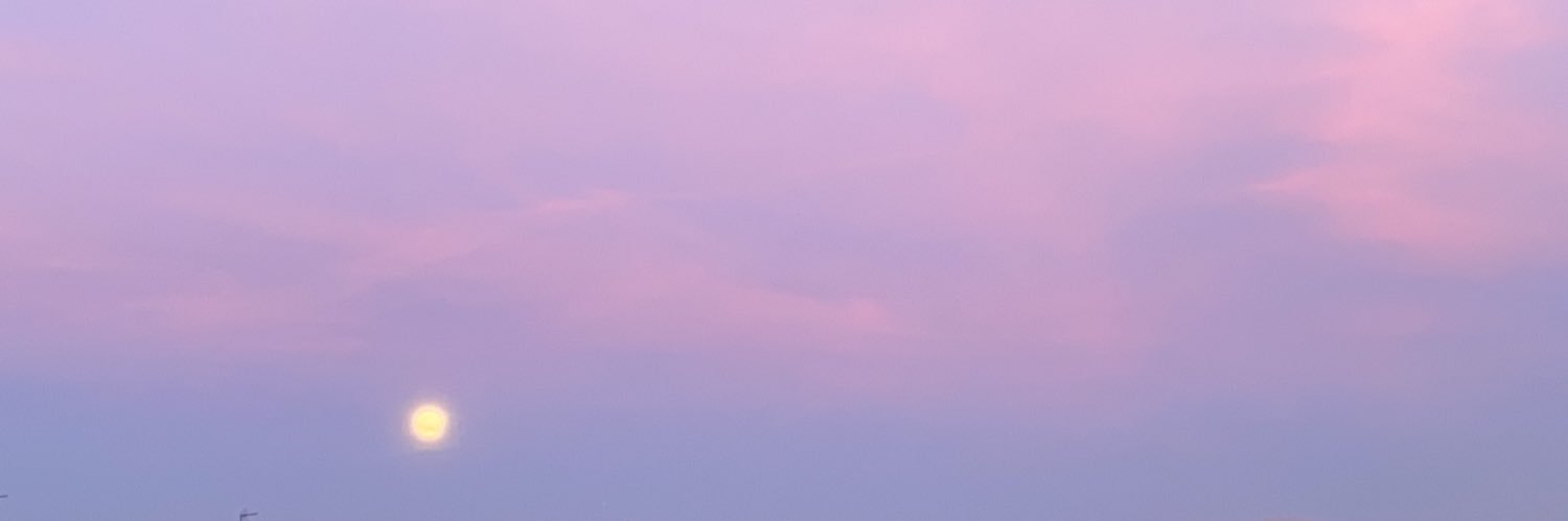 luu_2220's profile banner image