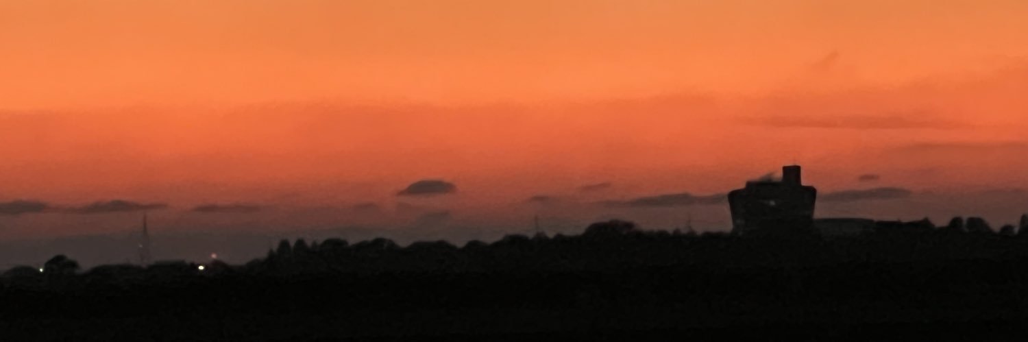 Sophia Johnson banner