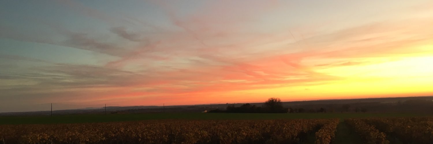 Mamours3's profile banner image