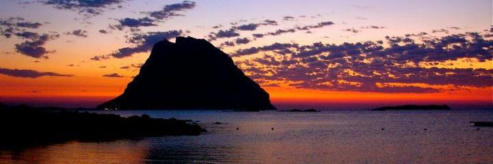 Benedetta Balestri banner