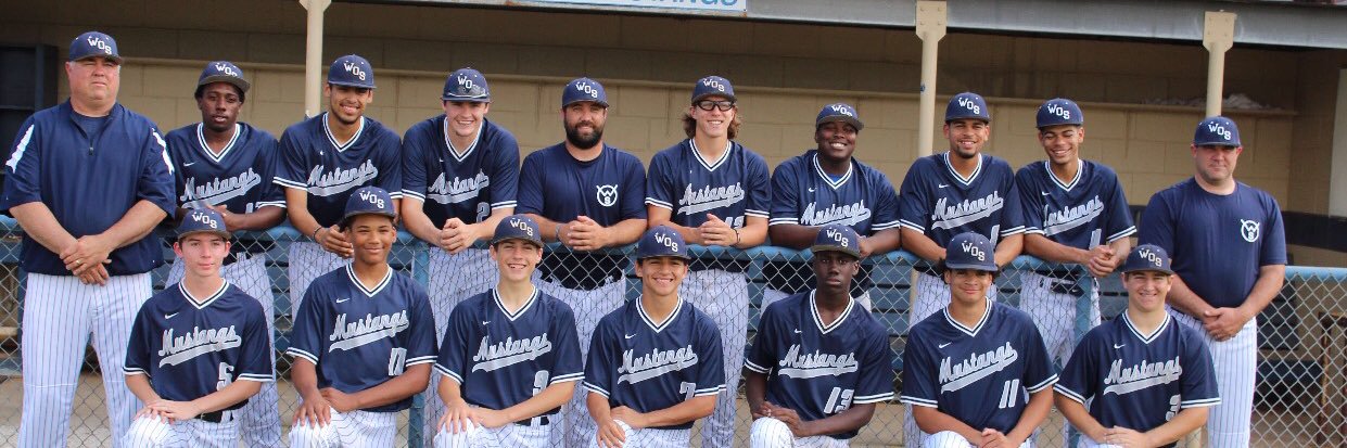 WOS Baseball banner