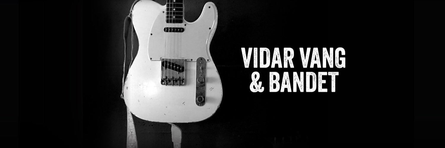Vidar Vang banner