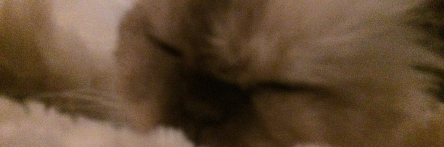 Amberdakin23's profile banner image