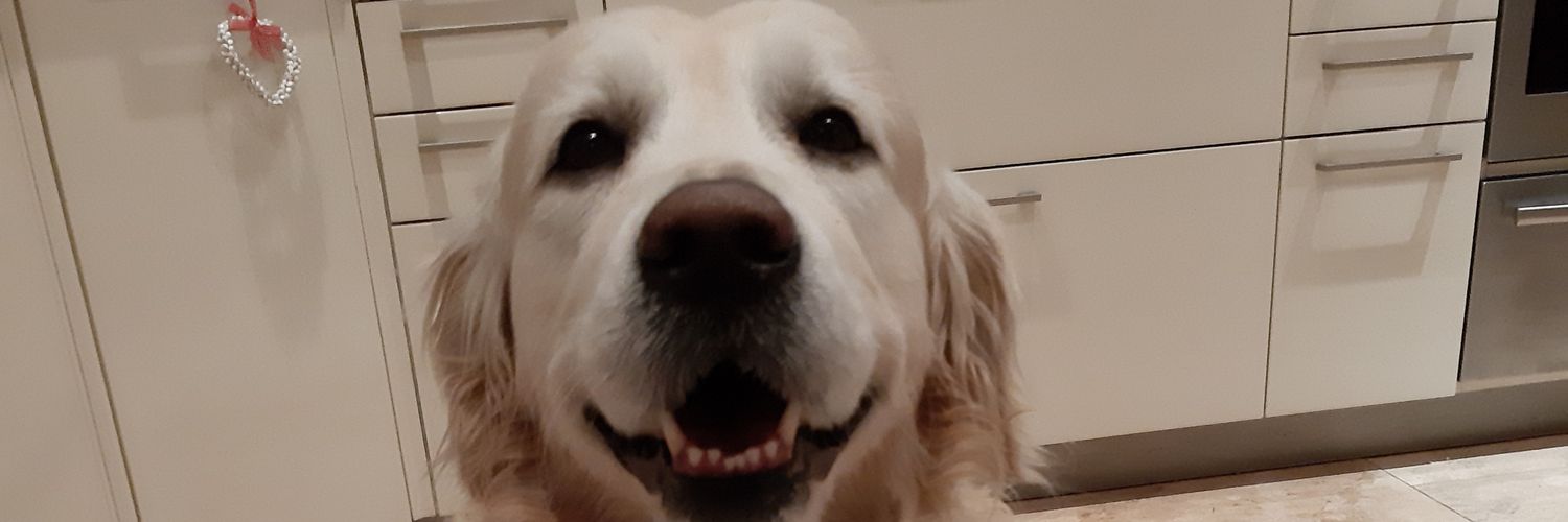 stevekail's profile banner image