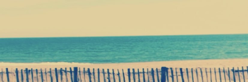 Louli banner