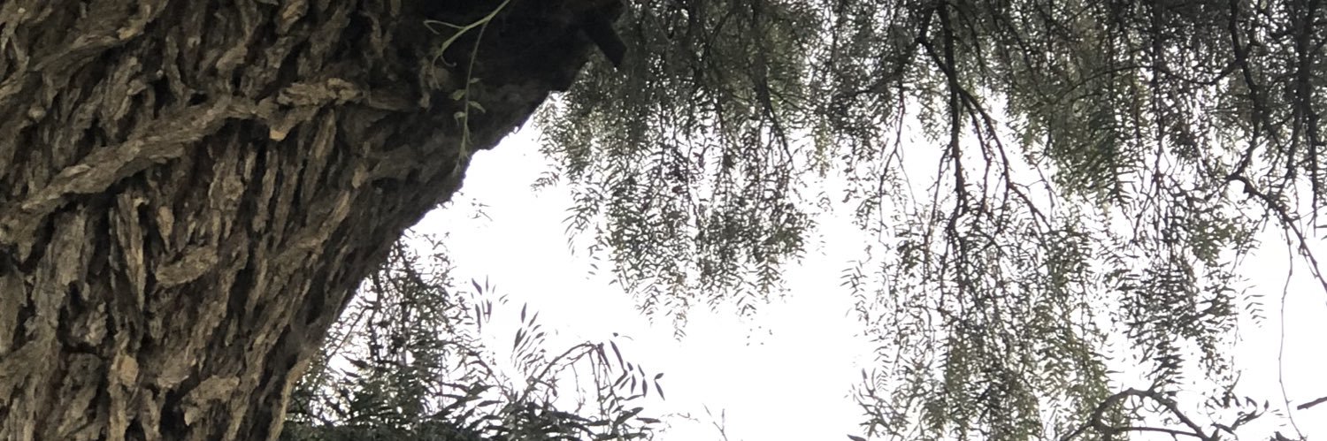 fooz asiri banner