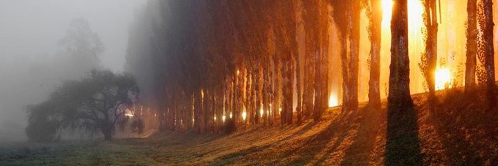 sebadela's profile banner image