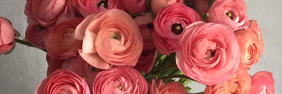 graciarivass's profile banner image