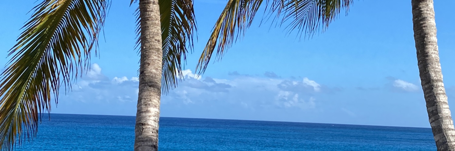 RogerioSouzaS's profile banner image