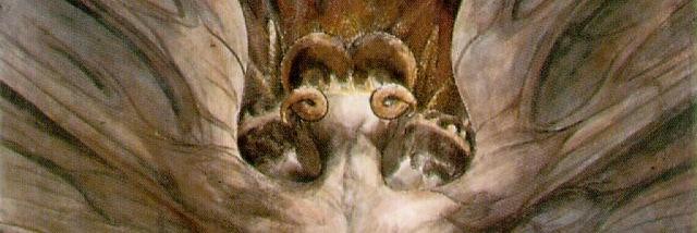 kainefu's profile banner image