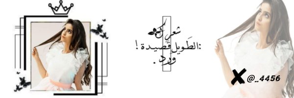 _4456 Profile Banner
