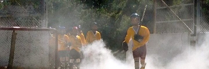 Withrow Ball Hockey banner