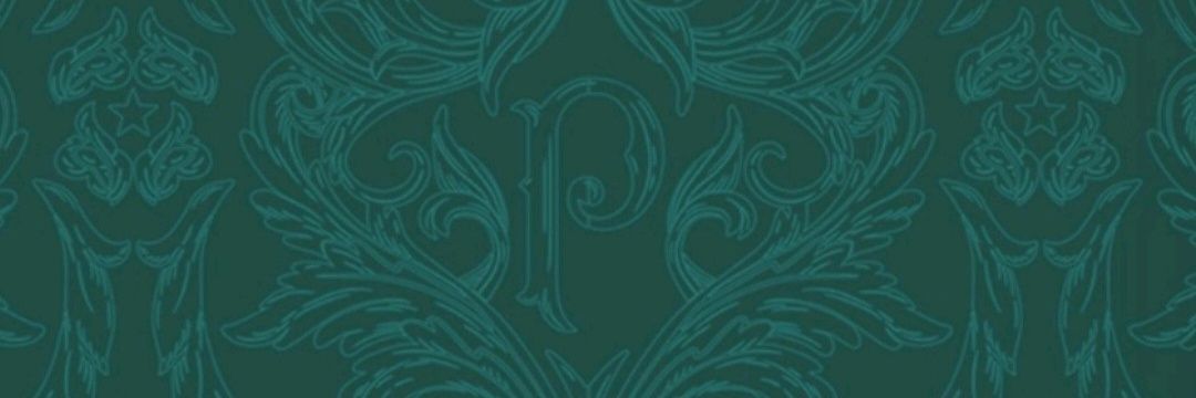 Luiz Sonzo em Hyrule💚🇵🇹🐷 banner