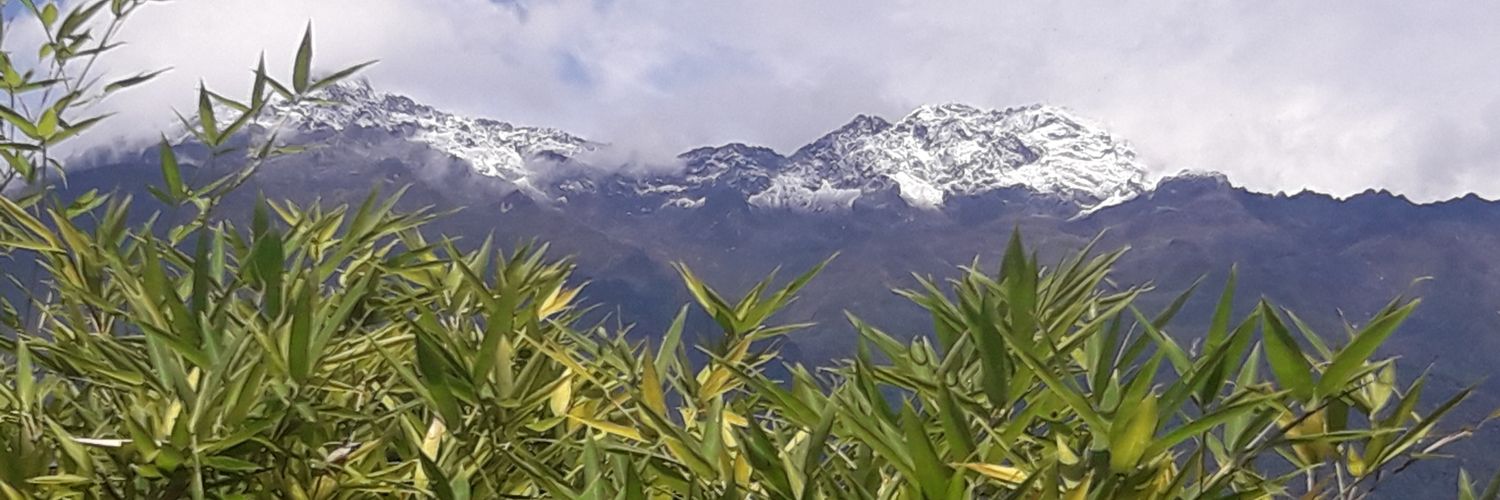 amaliaramirezm's profile banner image