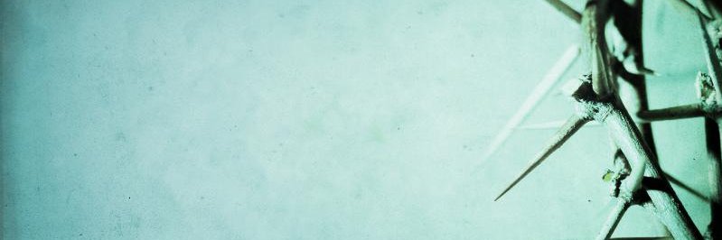 MastersHouseCO's profile banner image