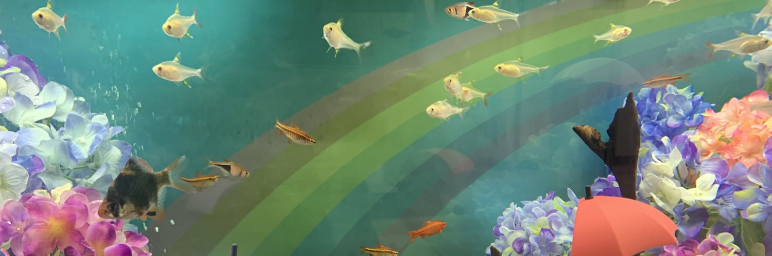 plusminun's profile banner image