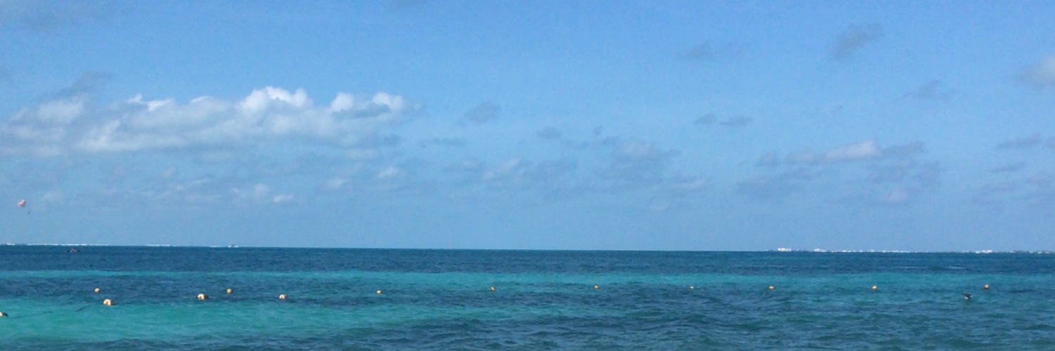 Drappndini banner