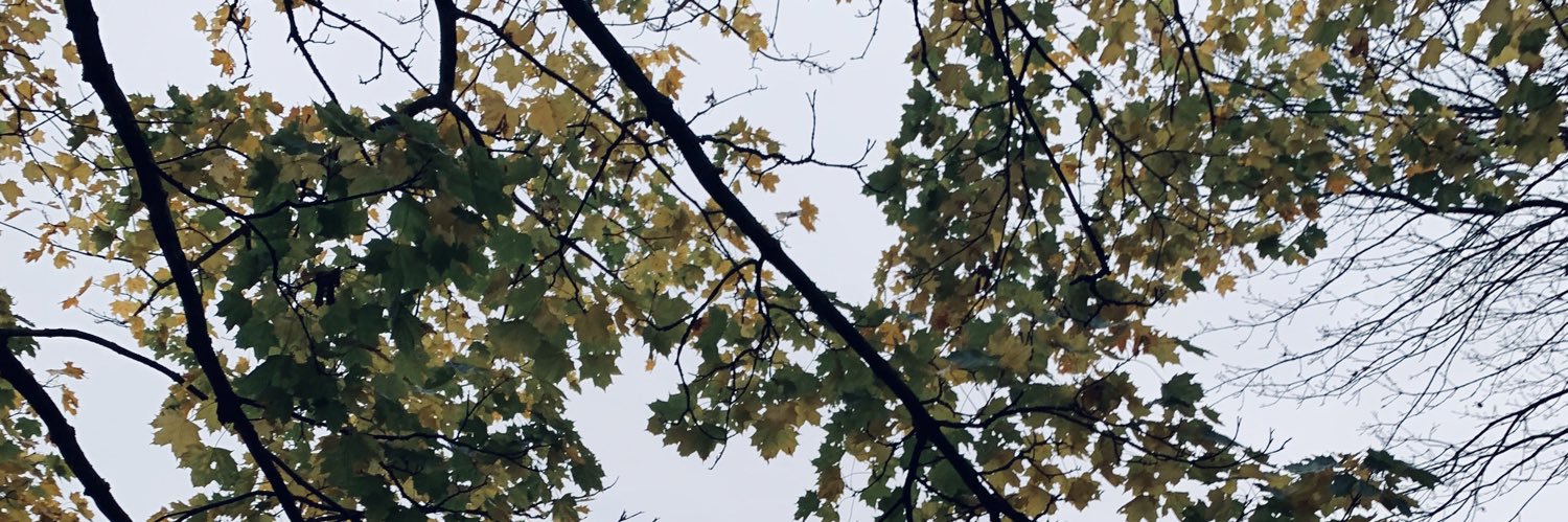 hellomynameisEbony 🤗 banner
