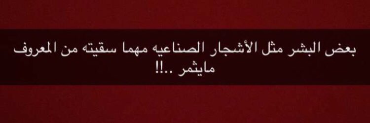 walidh663's profile banner image