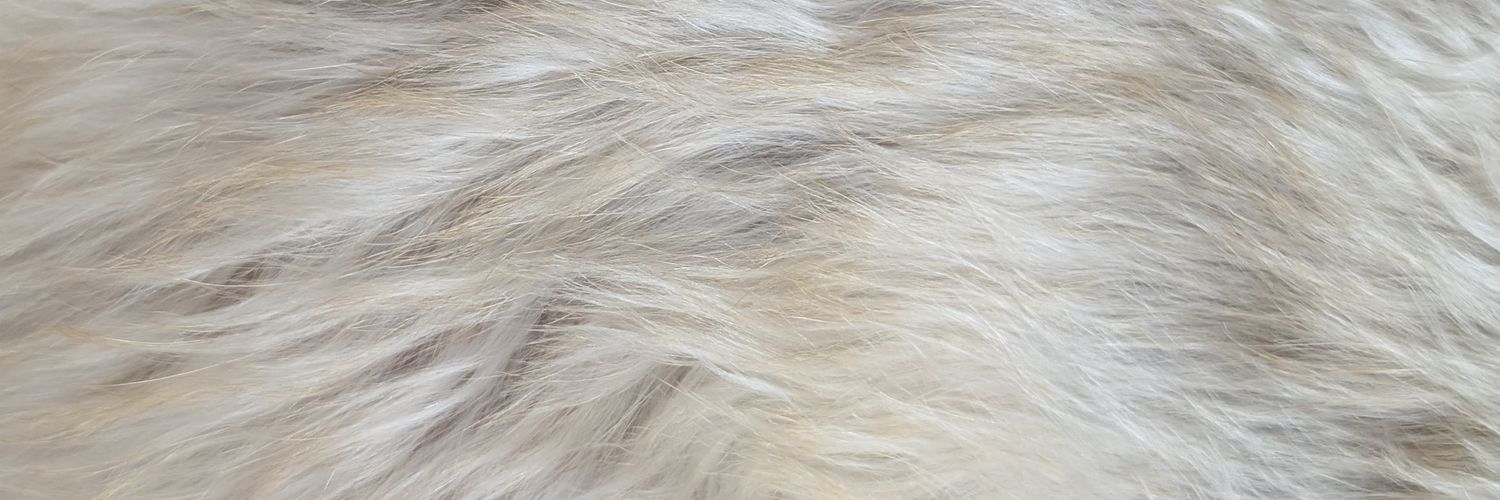 min_one95's profile banner image