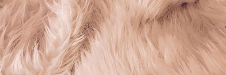 ihaveacrash's profile banner image