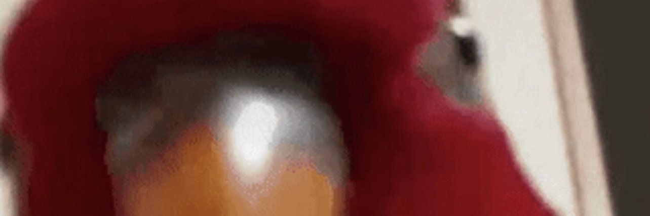 Ignoreokthx banner