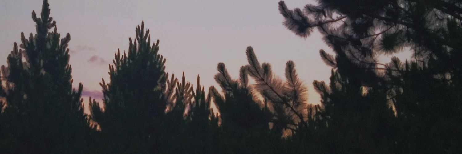 bchwesecake's profile banner image