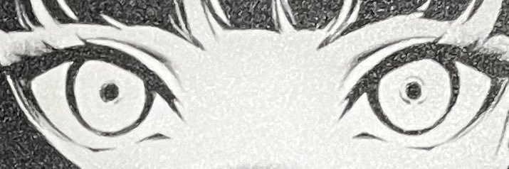 マカロン♂ banner