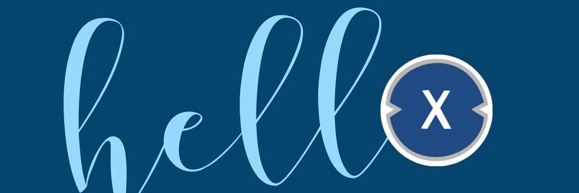 OWN.XDC 🌕.XDC banner