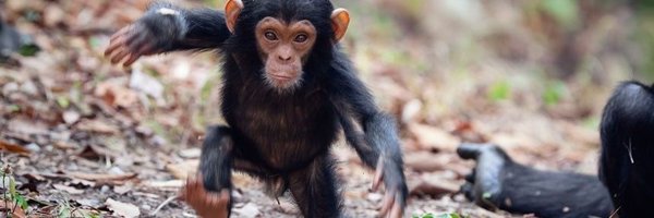 Maxmoh6 Profile Banner