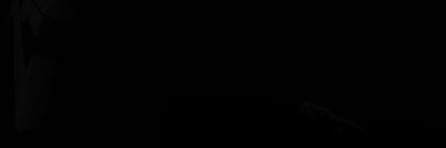 Bron banner