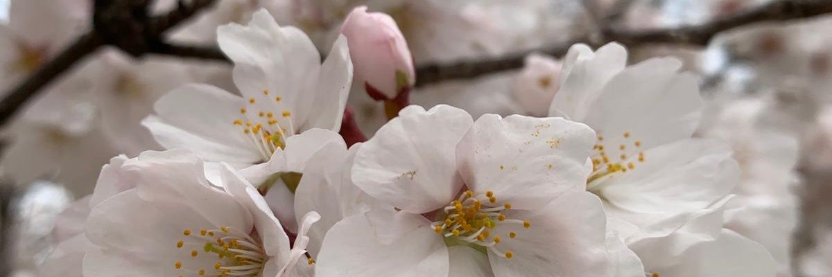 EmTi_MaTo's profile banner image