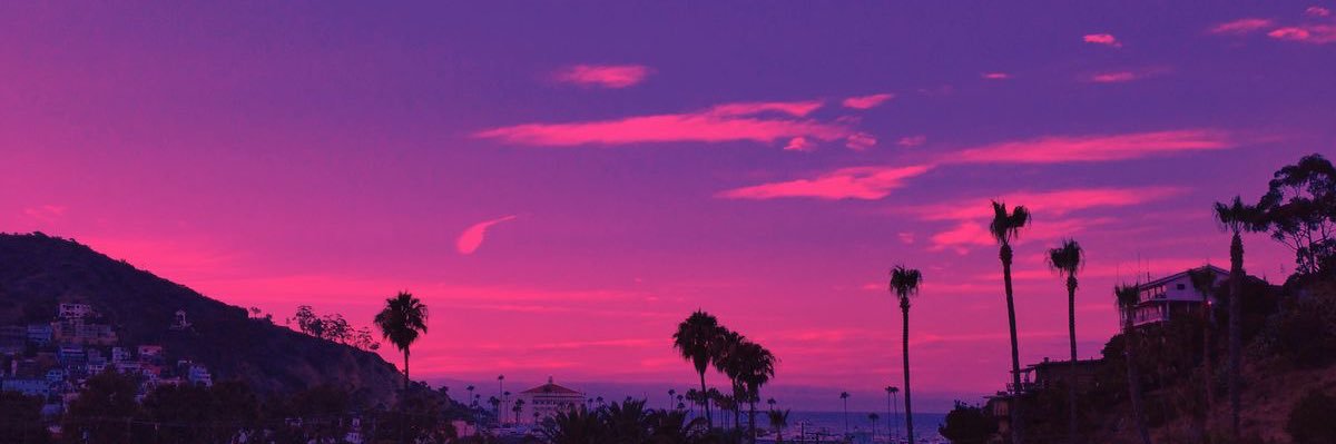 The_Weeb banner