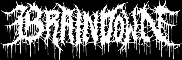 Braindownmetal Profile Banner