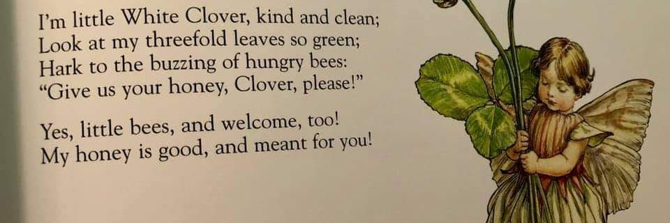 mariah (Taylor's Version) banner