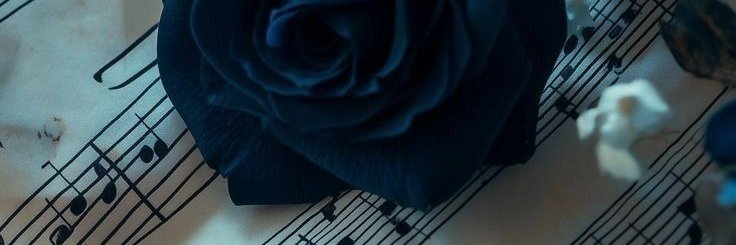 𝘋𝘢𝘯𝘪𝘢 𝘙𝘰𝘦𝘷𝘦𝘳𝘦 banner