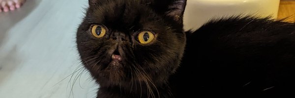 Hero_Kvatch Profile Banner