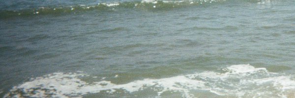 everythingearoh Profile Banner