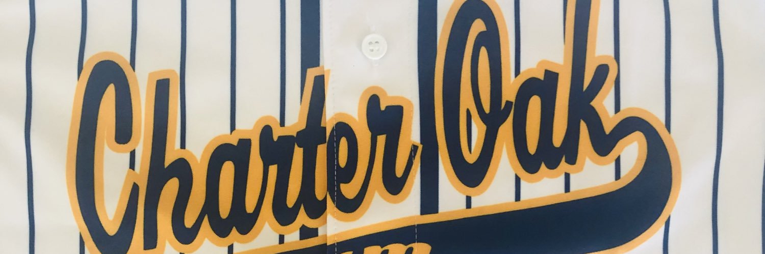 Fayroze Mostafa banner