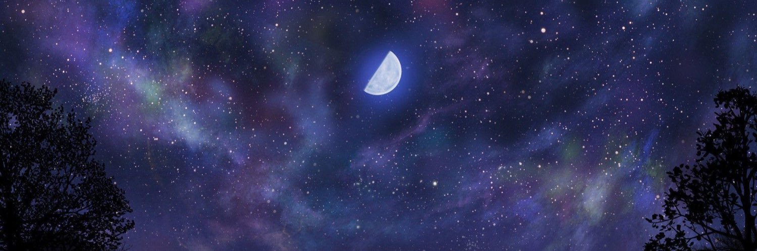 vSilentangel's profile banner image